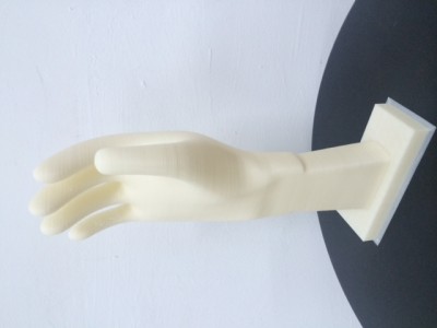 Hand mold 300mm height
