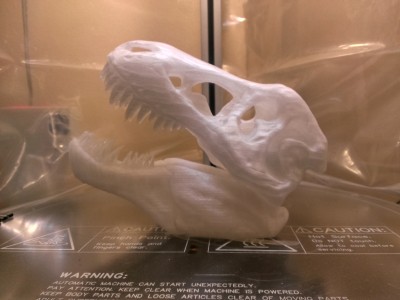 IMG_20140822_235315.jpg (1.43 MiB) Viewed 16939 times And here's the finished skull!! @_@ look at it