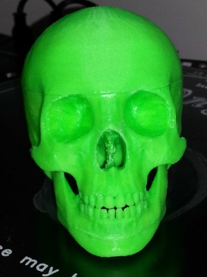 E3dSkull3lowres.jpg