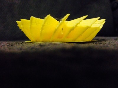 image.jpg (129.08 KiB) Viewed 4036 times Supposed to be the start of a vase!