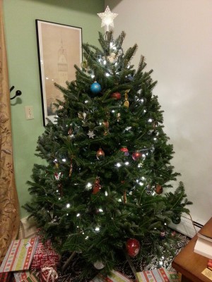 2014Christmastree.jpg