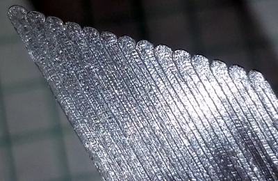 Single layer infill no perimeter