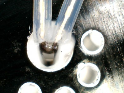 thermistor close up4.jpg