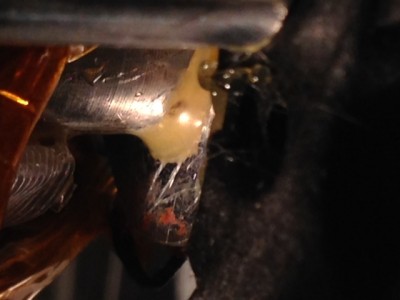 IMG_1493.JPG (64.43 KiB) Viewed 37008 times PLA accumulating around the nozzle base - for some reason the forum is rotating it 90 deg counter-clockwise.