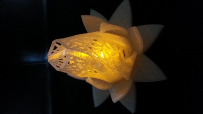 20150829_105644.jpg