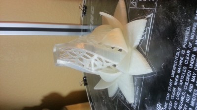 20150829_104514.jpg