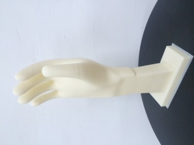photo 1.JPG (67.41 KiB) Viewed 12312 times Hand mold 300mm height
