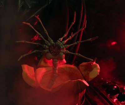 FaceHuggerHalloween2.jpg