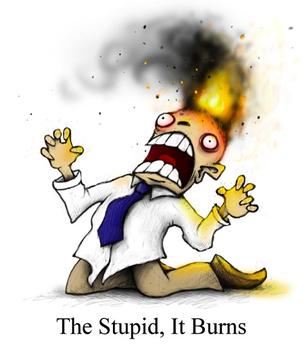 161660_thestupiditburns_xlarge-vi.jpg