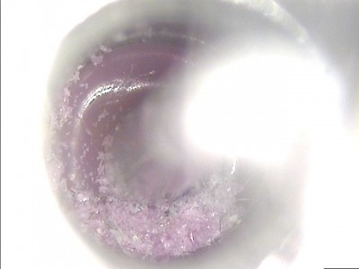 ImageFile885.JPG (27.29 KiB) Viewed 8145 times Purple inside Heat Sink 1