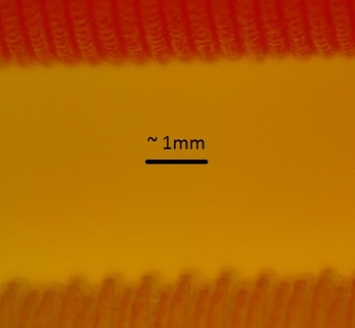 Artery Walls Translucent 200um Orange 300um.jpg