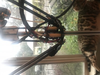 image2.jpeg