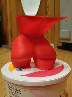 photo (19).JPG