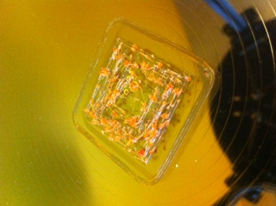 firstprint.jpg