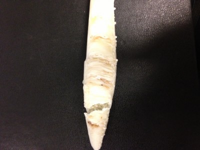 the support broke off without much pain, but as you can see, the side the support touches is completely gone to hell