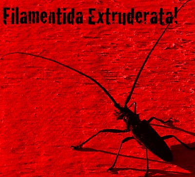 FilamentidaExtrderata.jpg