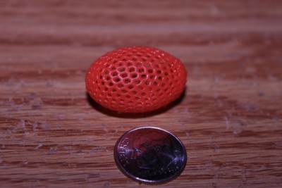 IMG_4983.JPG