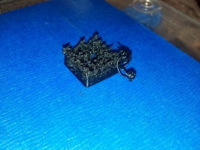 firstprint.jpg