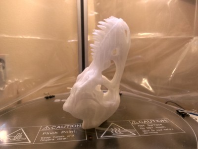 IMG_20140822_235355.jpg (1.43 MiB) Viewed 18960 times This is how I printed the upper skull, no supports :)