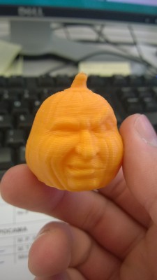Pumkin first PLA test