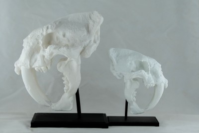 The larger skull stresses the poorly designed stand. Whoever designed the stand did not run the rod though the stand, but only added it to the top of the stand. Any second it will break it seems on the larger skull. This is after only a few hours with the heavy skull (.2 layer, 10% infill)