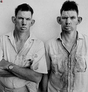 twins-pictures.jpg