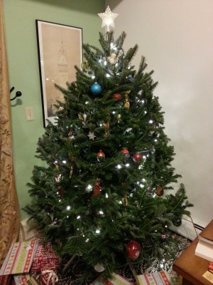 2014Christmastree.jpg