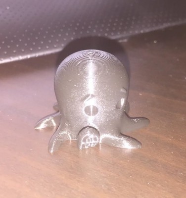 Correct CuteOcto.jpg