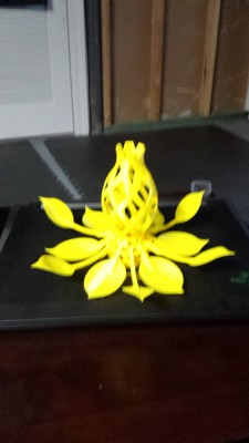 20150226_170849.jpg