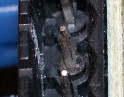 DSC_0322 Cropped.jpg